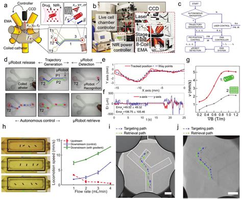 Autonomous Navigation Of The Microrobot Using An EMA System A