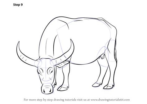 How To Draw A Buffalo Farm Animals Step By Step