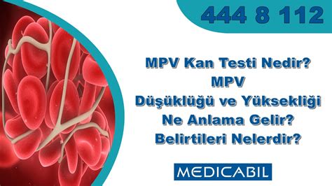 Blog Mpv Kan Testi Nedir Mpv D Kl Ve Y Ksekli I Ne Anlama Gelir