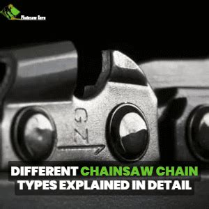 20+ Types of Chainsaw Chains Every Homeowner Should Know