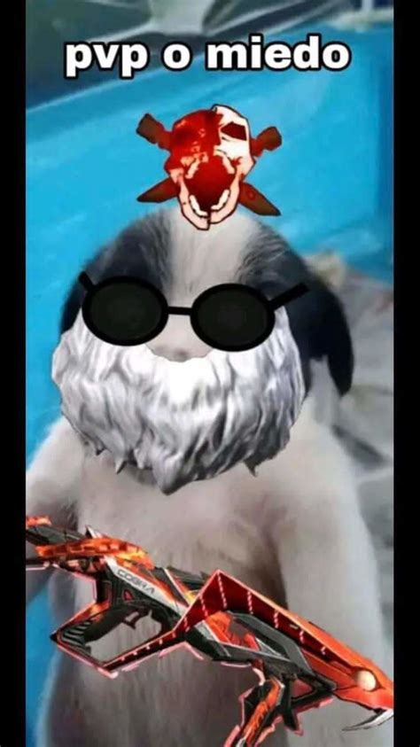 Perro Insano Meme Subido Por Don Camaron Memedroid