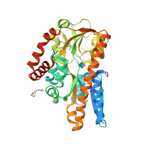 RCSB PDB 4N91 Crystal Structure Of A Trap Periplasmic Solute Binding