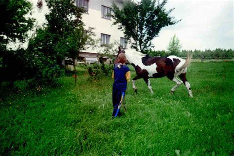 Zdięcia fotofrafie Małe Ciche Galeria Kompleksowy ośrodek narciarski