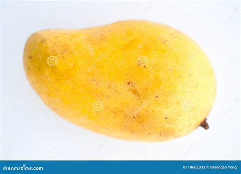 Yellow Mango Royalty-Free Stock Image | CartoonDealer.com #49935262