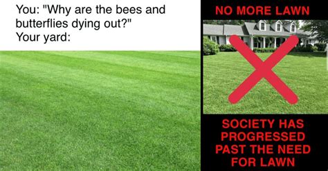 Militant Anti-Lawn Memes For Dedicated Grass Haters - Memebase - Funny ...