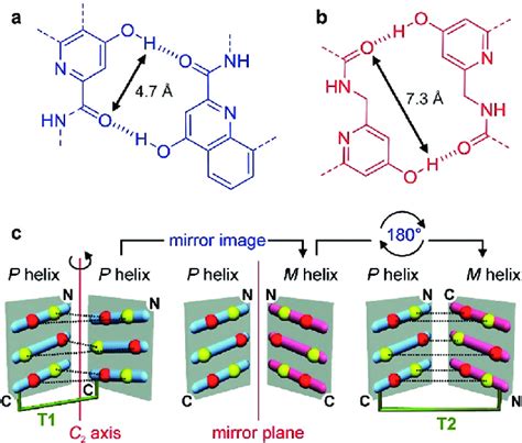 Hydrogen Bonding Patterns Involving X A And Y B Units