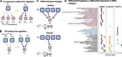 Frontiers Gene Targeting In Disease Networks