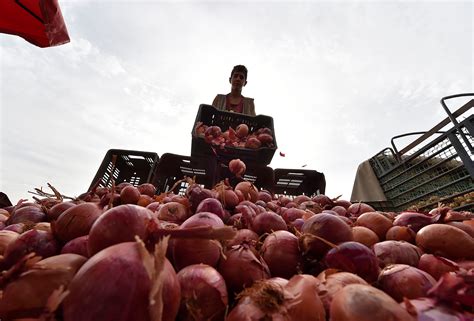 Vegetable Shortage Onion Prices Soar Fueling Global Food Inflation