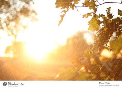 Blind Sommer Sonne Hell Ein Lizenzfreies Stock Foto Von Photocase