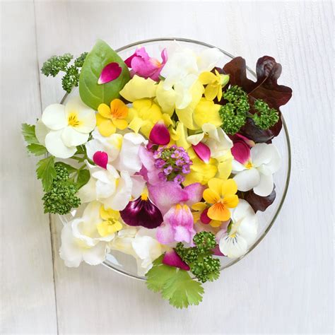 12 Edible Flowers To Elevate All Your Meals And Drinks