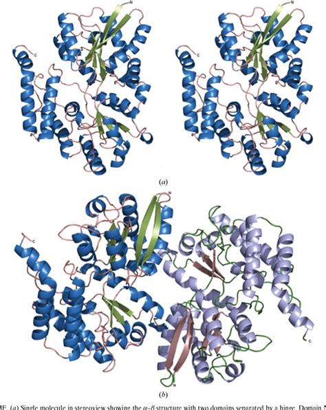 Figure 1 From Structure Determination Of A Sugar Binding Protein From