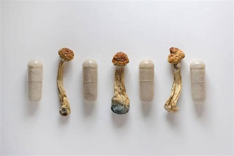 Does Dmt Show Up On A Drug Test Long Island Treatment Center