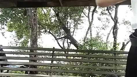 Mena Free Solo Man HD Porn Video Dc XHamster