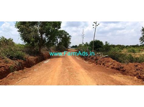 1 Acre 3 Gunta Mango Farm For Sale At Bennanguru Kolar Srinivasapura