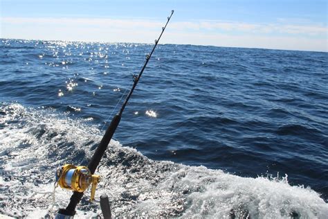 Saltwater Rods: A Beginner's Guide