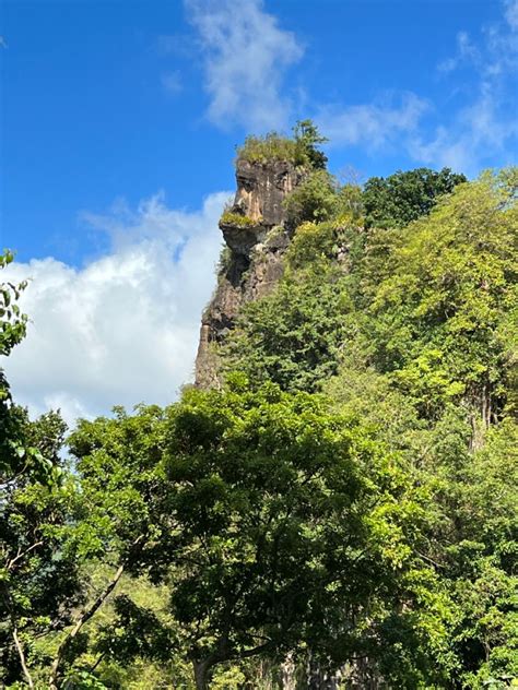 Gorilla Rock True Nature Monument Valley Leeward Side