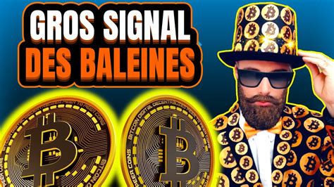 BITCOIN BTC Gros Signal Des Baleines Analyse Et Trading Bitcoin