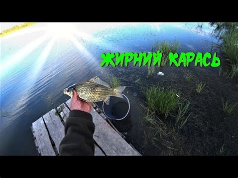 Ловля карася на пенотесто . Карась жирует перед зимой . - YouTube