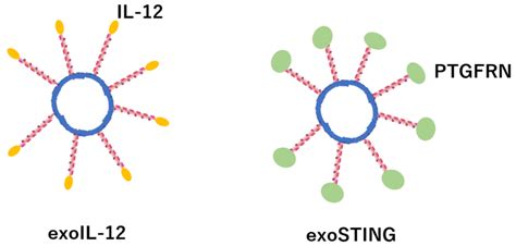 Membranes Free Full Text Advances In Purification Modification