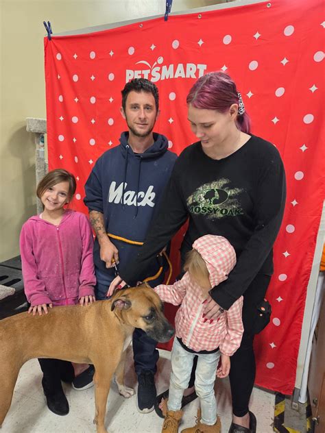 Dog - Daisy was adopted on Saturday. Soon after on Saturday she came