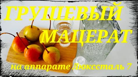 Грушевый мацерат. Мацерат из груши на аппарате Люкссталь 7. - YouTube