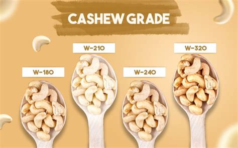 Cashew Grades Kaju Grades Kaju Badam