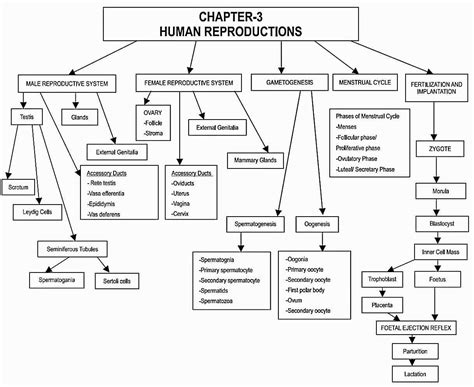 Class Th Biology Chapter Sexual Reproduction In Flowering Plants