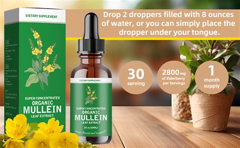 Amazon Pc Mullein Drops For Lungs Mullein Leaf Extract For Lungs