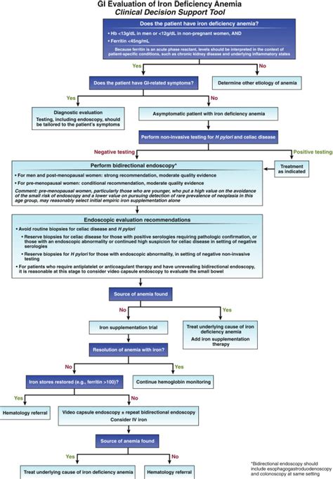 Gastrointestinal evaluation of iron deficiency anemia - American ...