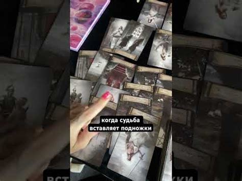 судьба вставляет палки в колеса - YouTube