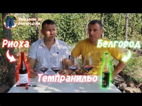 Темпранильо ''Риоха'' vs Темпранильо ''Белгород" - YouTube