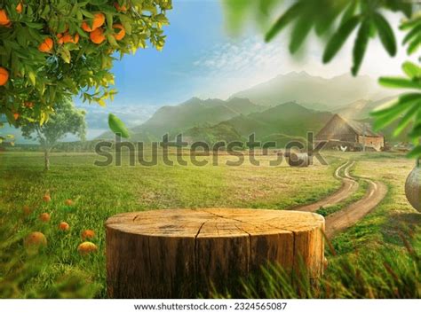 Tree Perfum Over 64 597 Royalty Free Licensable Stock Photos