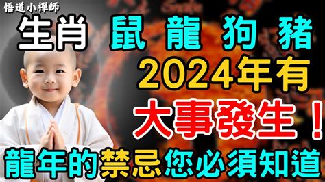 生肖鼠，龍，狗，豬，2024必有大事發生！龍年的這些禁忌妳必須要了解，保妳壹年順風順水 人生智慧 人生感悟 佛教 修心修行 修心