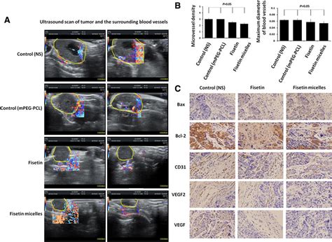 Fisetin Treatment Suppresses The Tumor Growth And Tumor Angiogenesis A