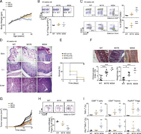 Foxp3 Scanning Mutagenesis Reveals Functional Variegation And Mild