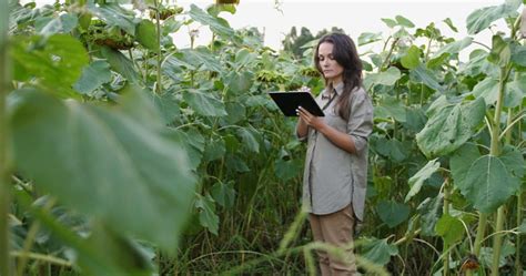 La Importancia Del Desarrollo Rural En Espa A Impulsando El Progreso