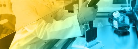 A&M Stabtest - Cell-based bioassay