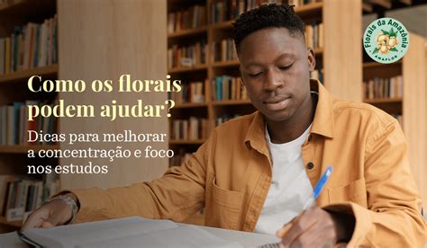 Como Os Florais Podem Ajudar Dicas Para Melhorar A Concentra O E Foco