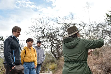 Vecinos Y Turistas De La Ciudad Recorrieron El Paseo De La Flora