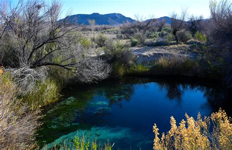 Ash Meadows National Wildlife Refuge – March 2016