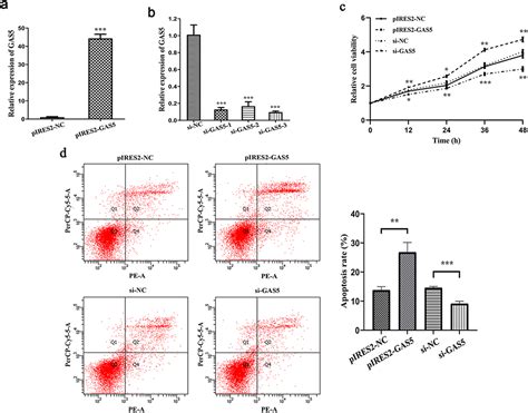 Serum Exosomal Long Non Coding Rna Growth Arrest Specific 5 Jir