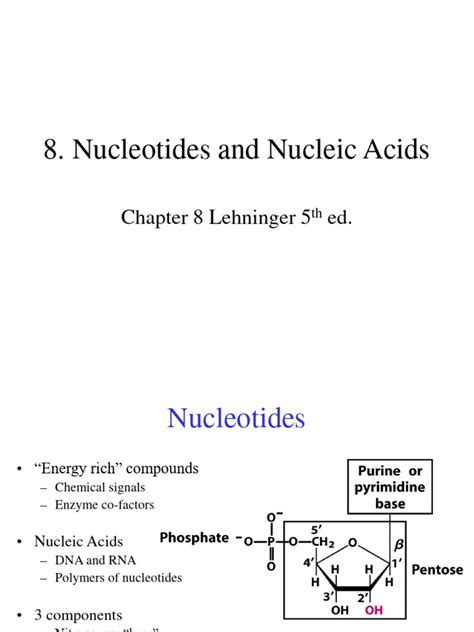 Lecture 5 Nucleic Acids Pdf