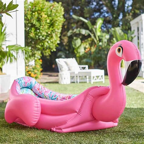 Fancy Flamingo Pool Fancy Flamingo Flamingo Pool Flamingo