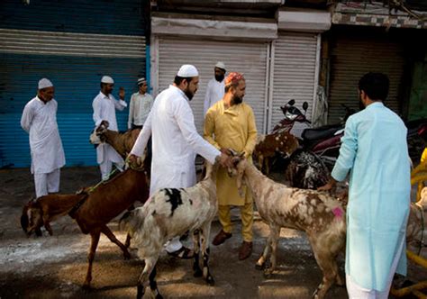 In Pics India Celebrates Eid Ul Adha With Prayers And Feasts