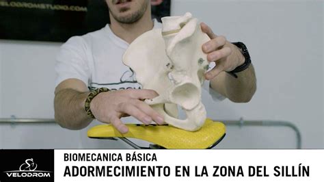 Biomecanica básica Como sentarse en el sillin de la bicicleta para