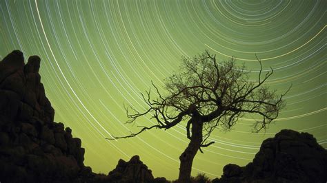 Wallpaper Sunlight Trees Landscape Night Nature Reflection Sky