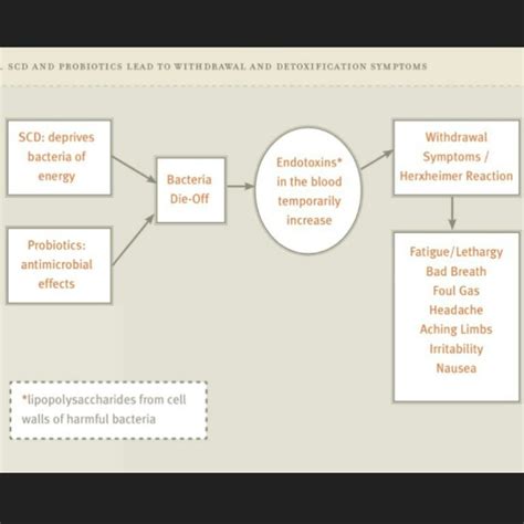 Microblog Jarisch Herxheimer Reaction And Potential Symptoms