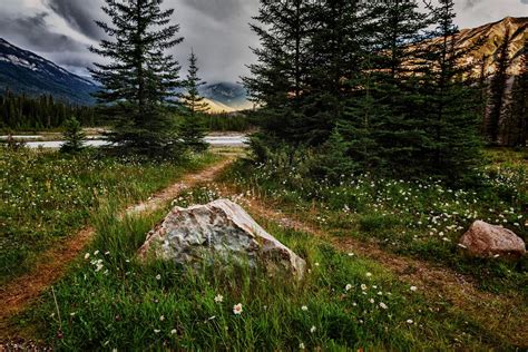 landscape, Lake, Pine Trees, Path, Forest Wallpapers HD / Desktop and ...