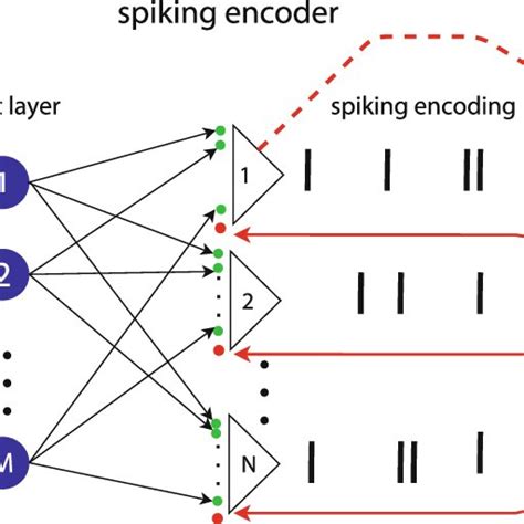 Sound Location Via Spatiotemporal Processing A Schematic