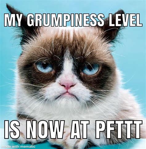 A Grumpy Cat meme I made : r/GrumpyCat